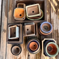 素焼き鉢 、盆栽鉢の画像