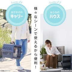 【新品】アイリスオーヤマ　エアトラベルキャリー　　　
の画像