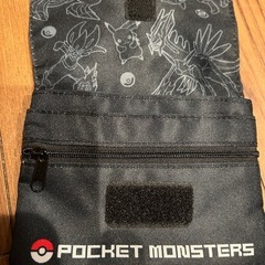 スプラとポケモンの移動ポケットの画像