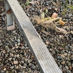 ハシゴ2台　　の画像