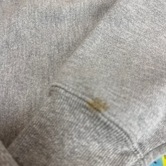 チャンピオン　パーカーの画像