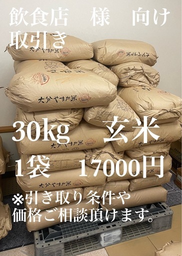 大分県杵築市山香町特産　にじのきらめき　玄米30㎏キロ　こめ