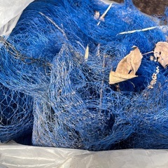 棚､防鳥網の画像