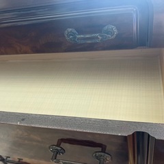 ムクの木せいの画像