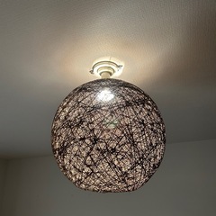 ライトカバーの画像