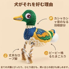 【新品】犬用おもちゃ ロープトイ ドッグトイ 鴨 ぬいぐるみの画像