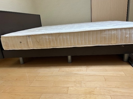 【決まりました】クイーンベット