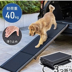 折りたたみスロープの画像