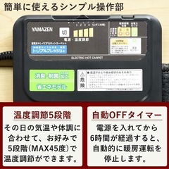 [山善] 空気をキレイにする ホットカーペット 電気カーペット 2畳 室温センサー搭載 (176cm×176cm) (6時間オートオフタイマー) (コンパクト収納) (ダニ対策機能) SUE-S204 の画像
