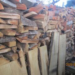 未乾燥薪、軽トラあおりまで、セルフ積み込み、広葉樹いろいろ、薪ストーブ、キャンプ薪の画像