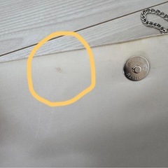 パーティーバックの画像