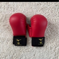 MIZUNO 空手防具セットSサイズの画像