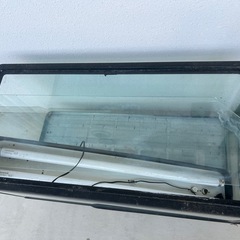 ９０センチの水槽の画像
