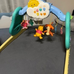 プーメリー 6WAYジムにへんしんメリー マルチカラー　の画像