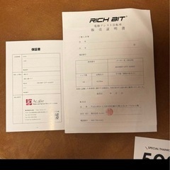 【美品】電動アシスト自転車 RICHT BIT CITY ASSIST 折りたたみ 走行少の画像