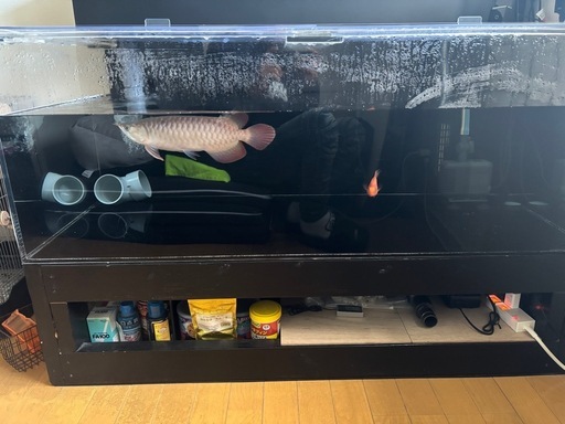 1200アクリル水槽(付属品多数)