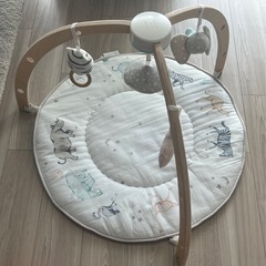 エイデンアンドアネイ　ベビージム　プレイジム　プレイマットの画像