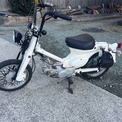 バーハン　リトルカブ中華エンジン125の画像