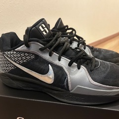 サブリナ33の画像