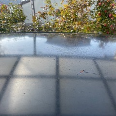 L175 ムーヴカスタム　平成21年　一時抹消の画像