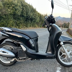 ★希少★ホンダ　SHモード125　の画像