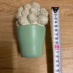 インテリア置物サボテンの画像