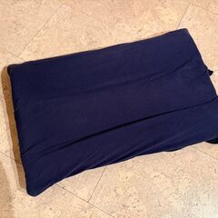 【美品・洗浄済】Brain Sleep Pillow（ブレインスリープピロー）定価約3.3万円の画像