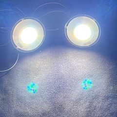 アクアリウム用ライトの画像
