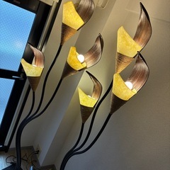 アジアン風ココナッツ照明の画像