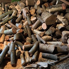 薪　太めの薪　薪ストーブ　広葉樹　軽トラック1台満載分　未乾燥　石川県白山市引取り　昨年秋伐採の画像