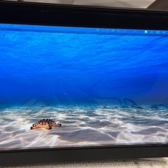 Portable Tri-Screen for Laptopの画像