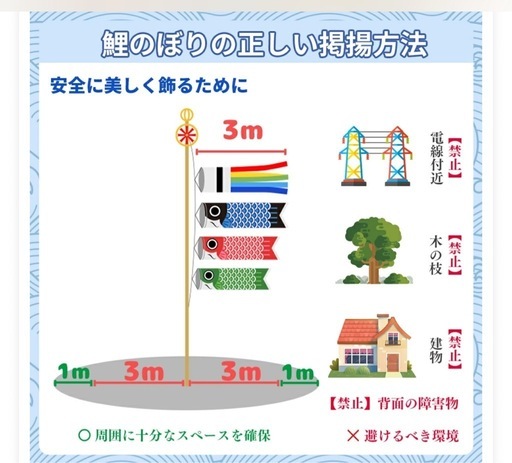 鯉のぼり(新品未使用)