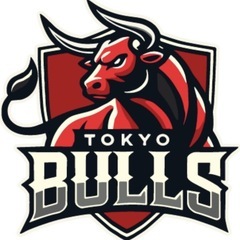 【メンバー募集】東京ブルズ_土曜日_大田区_初級