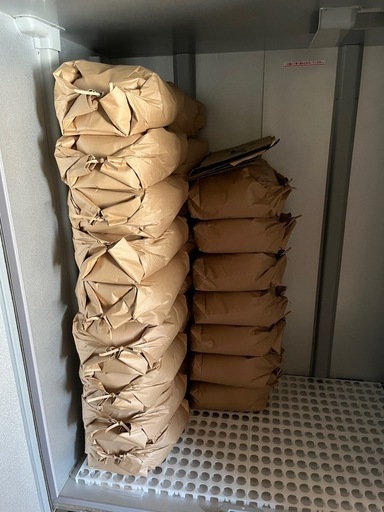 令和7年度産 あいちのかおり 玄米 15kg~(残り60kg)