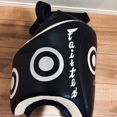 フェアテックス　ローキック ミットの画像