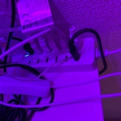 ネオン一式セットの画像