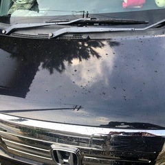 至急取引希望！ライフディーバ四駆の画像