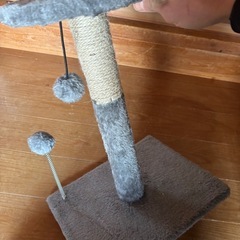 猫用おもちゃの画像