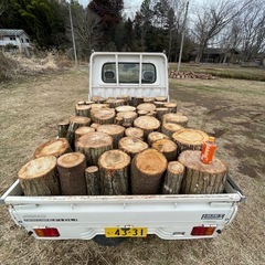 【クヌギ・サクラ】太め玉切り材あります🔥薪ストーブ用（複数台OK・水戸市） の画像