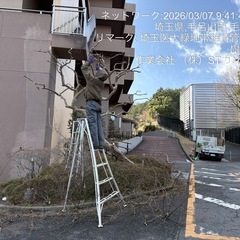 庭の手入れ 木の剪定お任せ下さい。 所沢市狭山市志木市清瀬〜