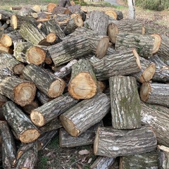 【クヌギ・サクラ】太め玉切り材あります🔥薪ストーブ用（複数台OK・水戸市） の画像