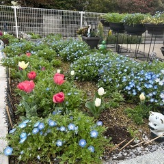 土木工事の作業員さん急募🌸の画像