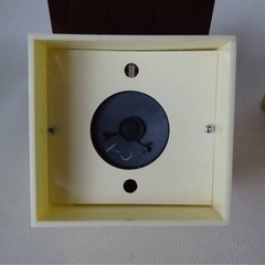 ニッケイ電子 ソーラーバード SB‐1 1982年9月 ソーラーで野鳥の鳴き声がします 鳥を呼びます 未使用自宅保管品の画像