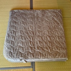 【ファミリー】イオン ホームコーディ リバーシブル敷パッドの画像