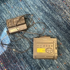 Sony GV-D300の画像