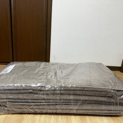 
【未使用】ニトリ 江戸間6帖 カーペット（防ダニ・カット可能・ホットカーペット対応）の画像