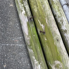 杭６本の画像