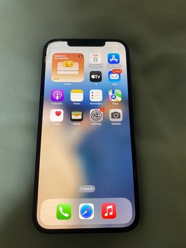 iPhone 12 Pro Max