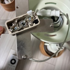 トリゴの照明の画像