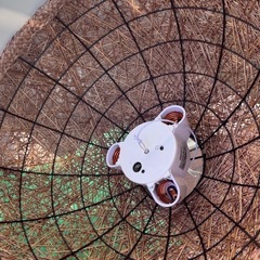 長津田駅　アジアン家具　電球　ライト　の画像